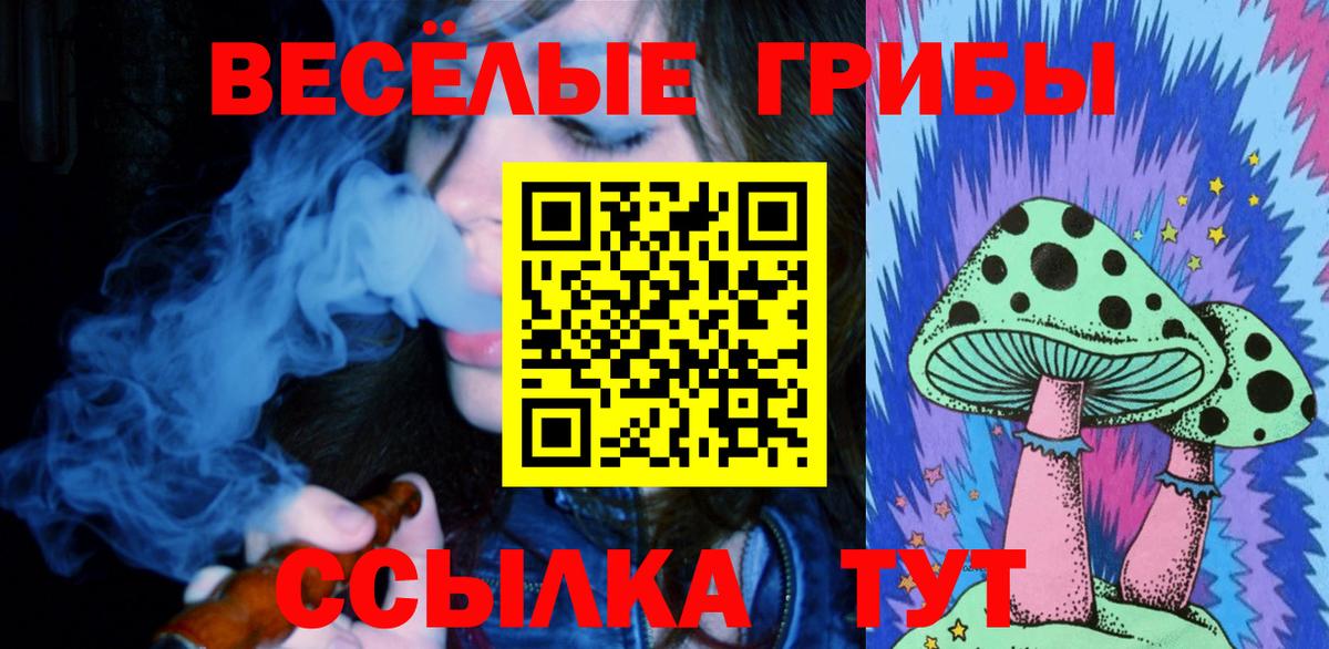 Галлюциногенные грибы Cubensis Богородицк